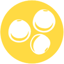 Altramuces
