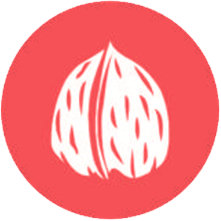 Frutos cascara
